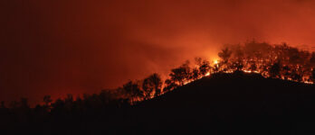 A bushfire at night