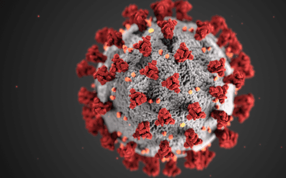 An artist's rendition of a SARS coronavirus 2
