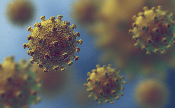 An artistic rendition of a coronavirus
