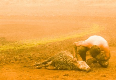 A drought scene from An Australian farm; a farmer kneels beside a sick sheep with a dry dam in the background