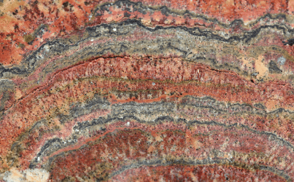 A cross-section image of a rock