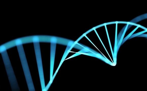 DNA helix gene molecule spira