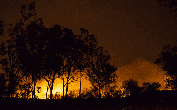 Silhouettes of trees against a bushfire