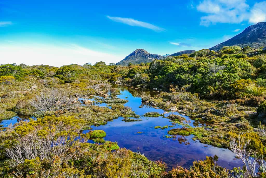 Mountain scenery in the Tasmania World Heritage area - Hartz Mountains National Park, Tasmania. Image by 
