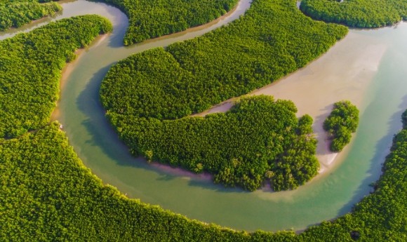 Overhead view of the meandering waterways and mangroves in the Hinchinbrook Island region