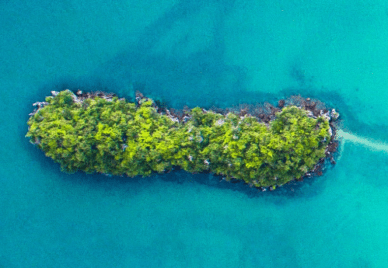an island covered in green vegetation with shallow aqua water around it.