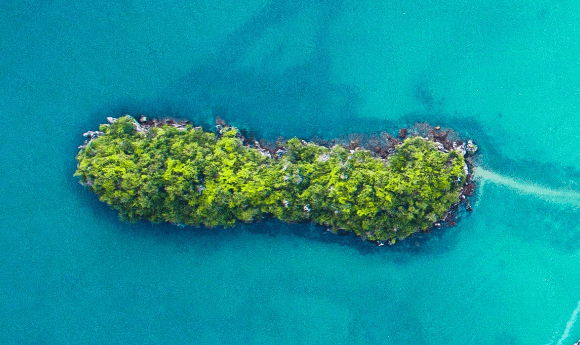 an island covered in green vegetation with shallow aqua water around it.