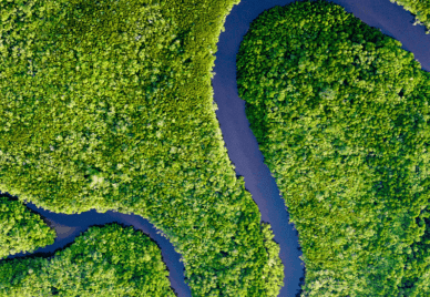 River bed seen from a drone with forest around