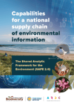 Cover of the SAFE 2.0 guide, featuring pictures of a beach, animals and a plant overlaid with abstract digital-age-themed vector art