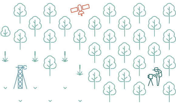 Vector art of a pylon, a satellite and a researcher in a forest and a field
