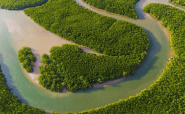 River bed seen from a drone with forest around
