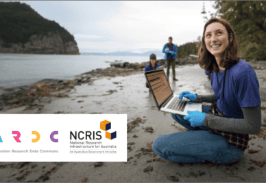 A R D C and N CRIS logos against a picture of a researcher working on a beach with a laptop