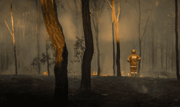 A firefighter in a burning forest