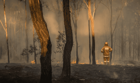 a rural fire brigade firefighter standing in a burnt forest with a small fire burning beyond him. Image - Stuart - 507395677 / AdobeStock.com