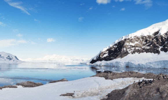 Ice-covered Antarctic coast