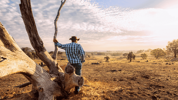 farmer standing beside dead tree in arid landscape. Image: VMJones / istockphoto.com