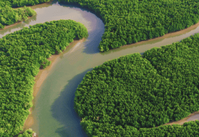 river system seen from above