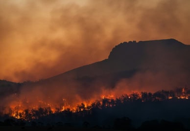 A hill burning in a bushfire