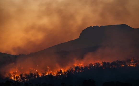 A hill burning in a bushfire